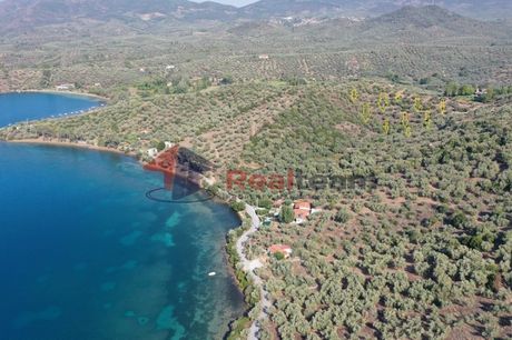 Parcel 12.000sqm for sale-Pteleos