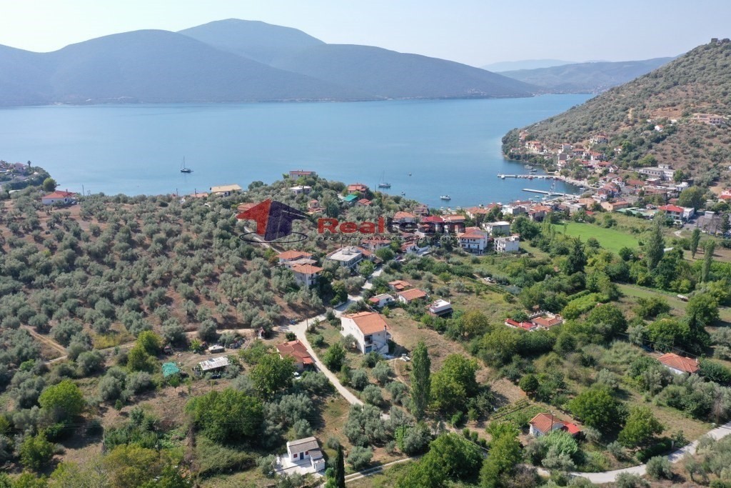 Οικόπεδο 316 τ.μ. πρός πώληση, Μαγνησία, Πτελεός