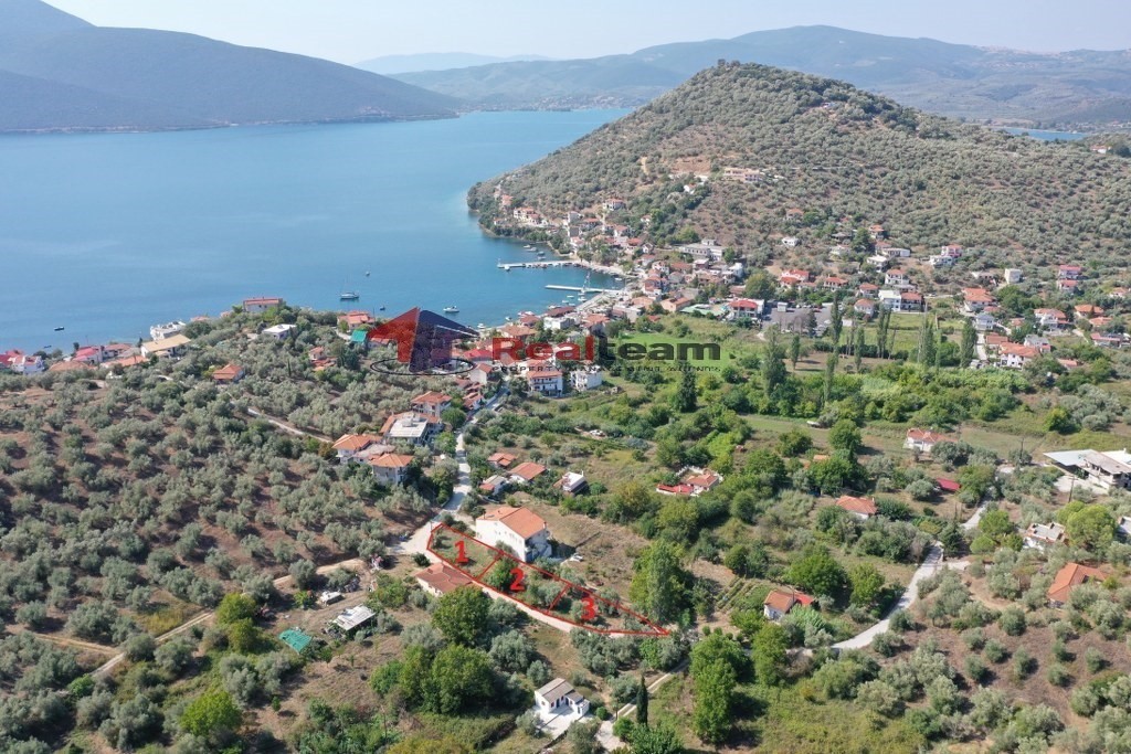 Οικόπεδο 316 τ.μ. πρός πώληση, Μαγνησία, Πτελεός