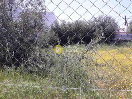 Οικόπεδο 320τ.μ. για πώληση-Αχαρνές » Μπόσκιζα