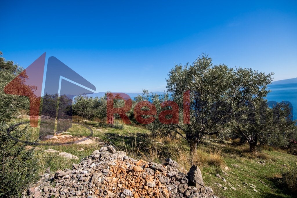 Αγροτεμάχια 6.000 τ.μ. πρός πώληση, Μαγνησία, Σούρπη