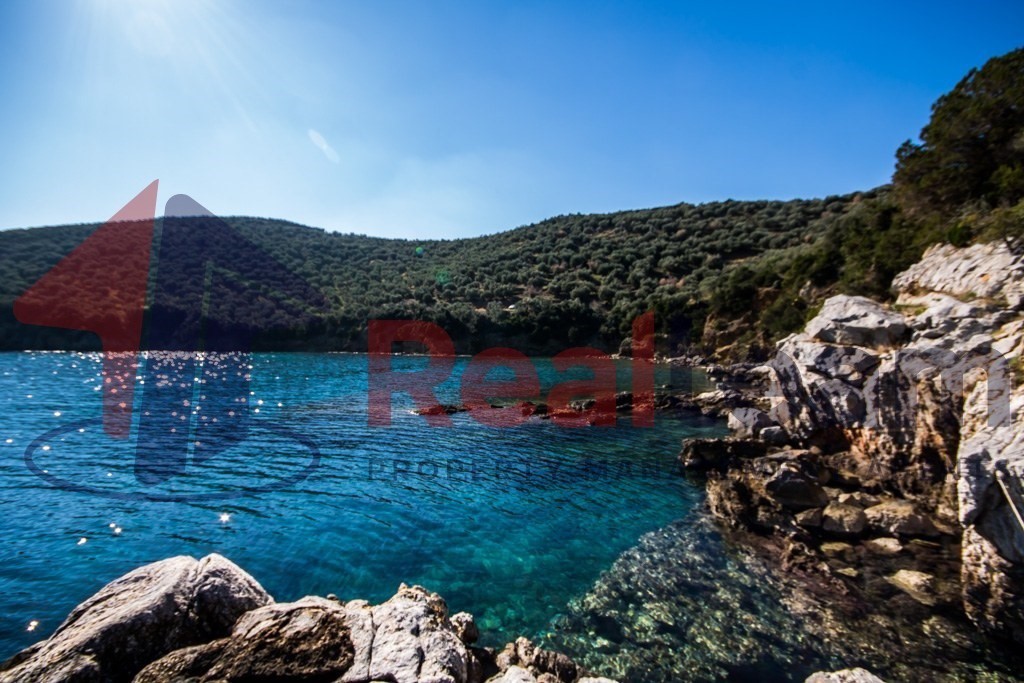 Αγροτεμάχια 6.000 τ.μ. πρός πώληση, Μαγνησία, Σούρπη