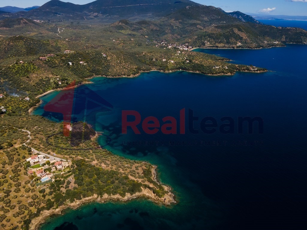 Αγροτεμάχια 9.000 τ.μ. πρός πώληση, Μαγνησία, Πτελεός