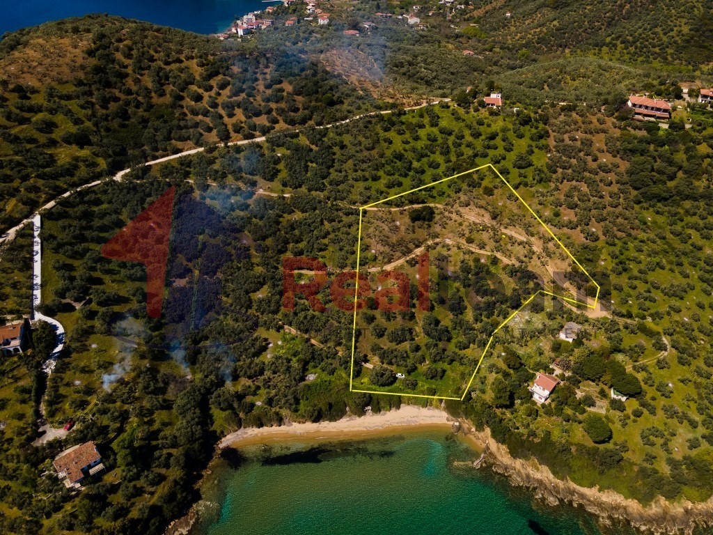 Αγροτεμάχια 9.000 τ.μ. πρός πώληση, Μαγνησία, Πτελεός