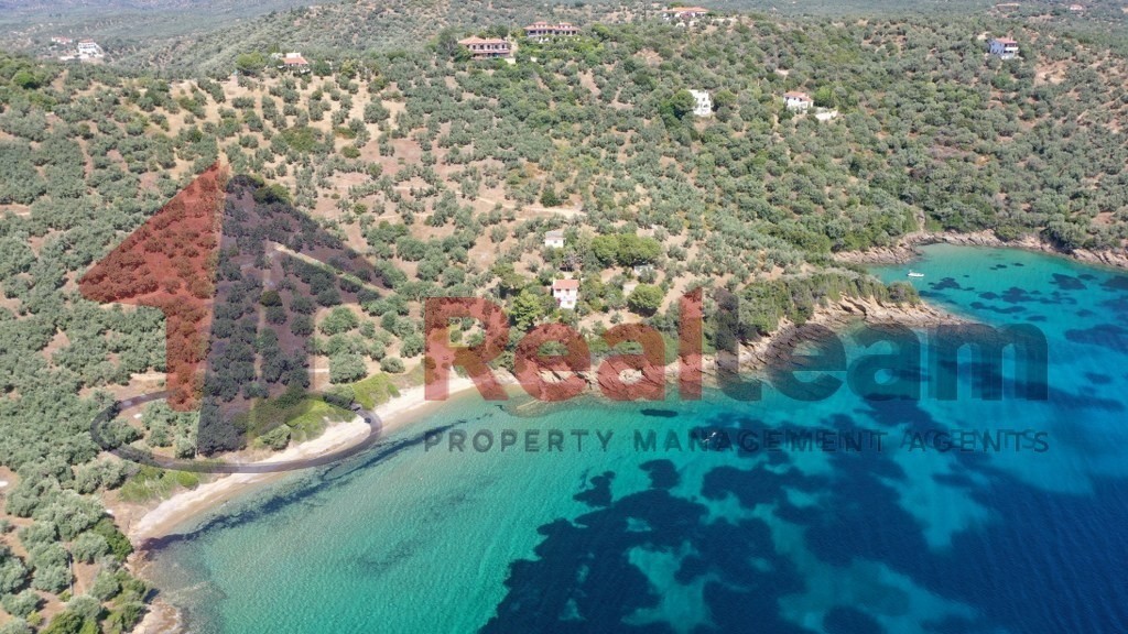 Αγροτεμάχια 9.000 τ.μ. πρός πώληση, Μαγνησία, Πτελεός