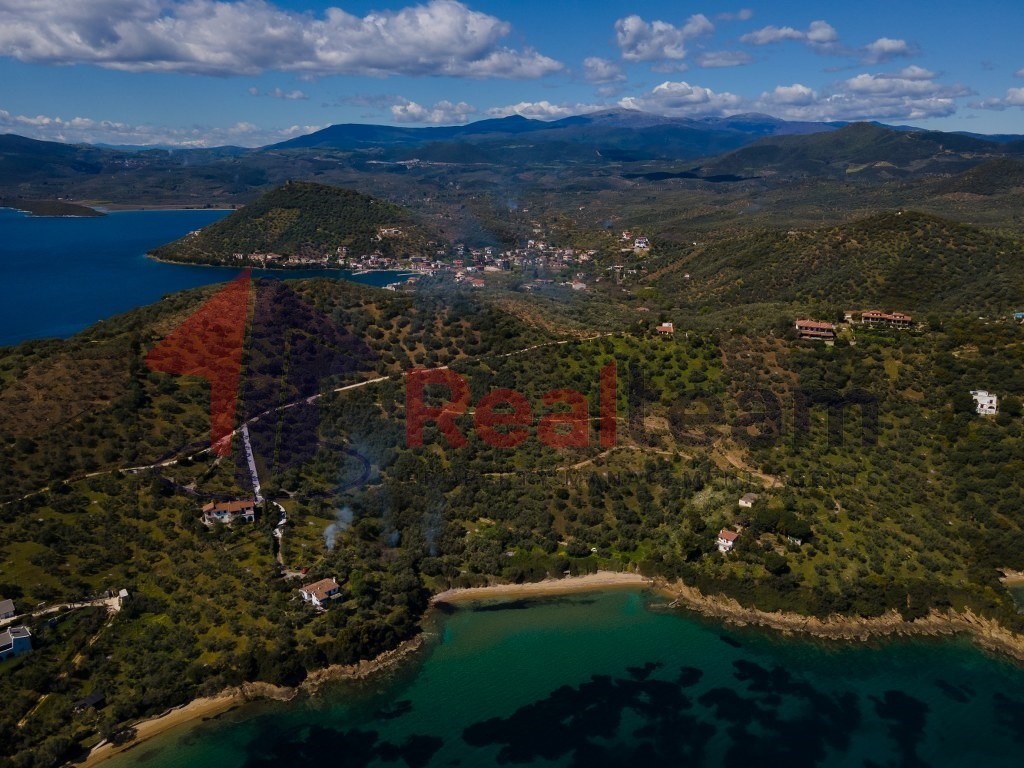 Αγροτεμάχια 9.000 τ.μ. πρός πώληση, Μαγνησία, Πτελεός