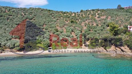 Parcel 9.000sqm for sale-Pteleos