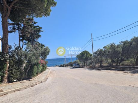 Οικόπεδο 964τ.μ. για πώληση-Μαρκόπουλο » Χαμολιά