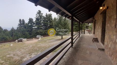 Detached home 100 sqm for rent