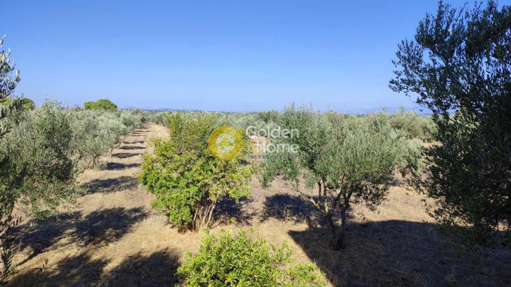Μονοκατοικία 100 τ.μ. προς πώληση, Αυγεραίικα