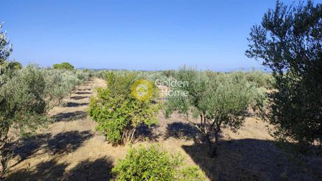 Detached home 100sqm for sale-Olenia » Avgereika
