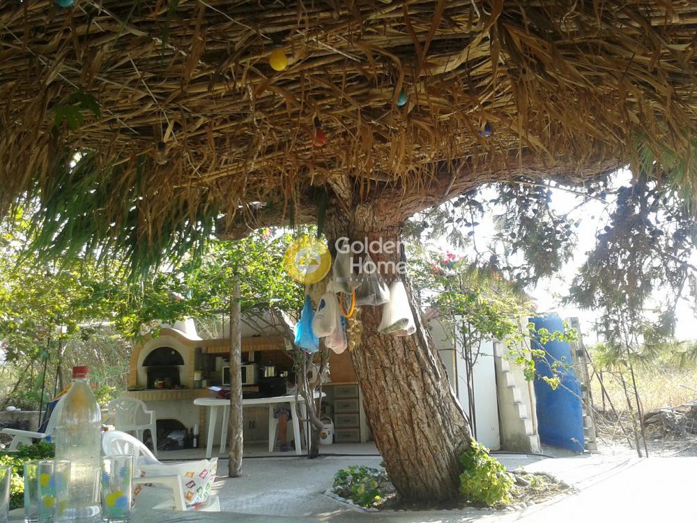 Αγροτεμάχια 19.550 τ.μ. πρός πώληση, Δωδεκάνησα, Ρόδος