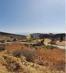 Αγροτεμάχια 4.825 τ.μ. για πώληση