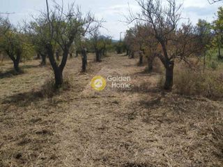 Οικόπεδο 1.008 τ.μ. για πώληση
