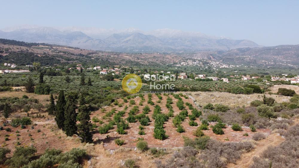 Οικόπεδο 9.700 τ.μ. προς πώληση, Τσιβαράς