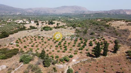 Οικόπεδο 9.700τ.μ. για πώληση-Αρμενοί » Τσιβαράς