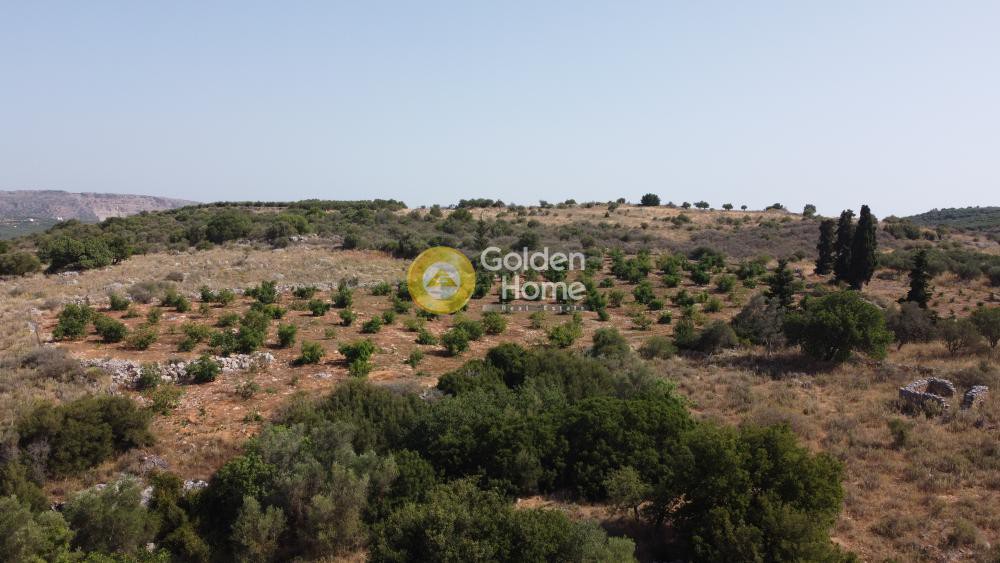 Οικόπεδο 9.700 τ.μ. προς πώληση, Τσιβαράς