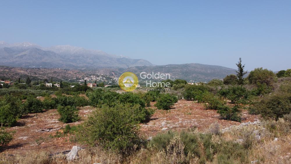 Οικόπεδο 9.700 τ.μ. προς πώληση, Τσιβαράς