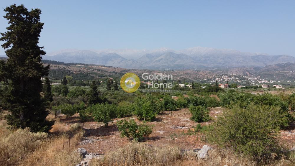 Οικόπεδο 9.700 τ.μ. προς πώληση, Τσιβαράς