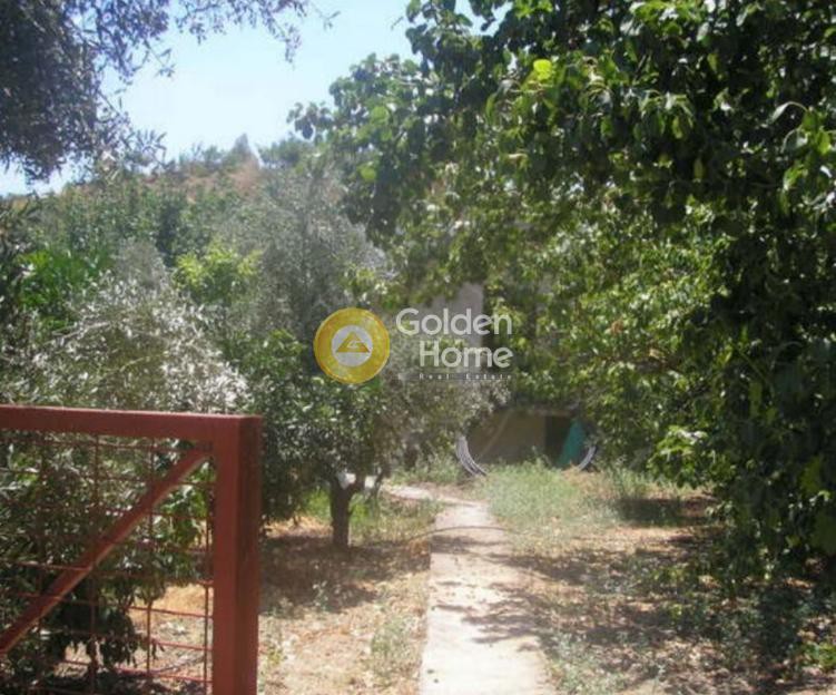 Μονοκατοικία 75 τ.μ. προς πώληση, Λαγούτα