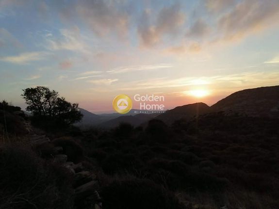 Οικόπεδο 8.916 τ.μ. για πώληση, Κυκλάδες, Νάξος - Δρυμαλία