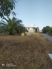 Μονοκατοικία 160 τ.μ. για πώληση
