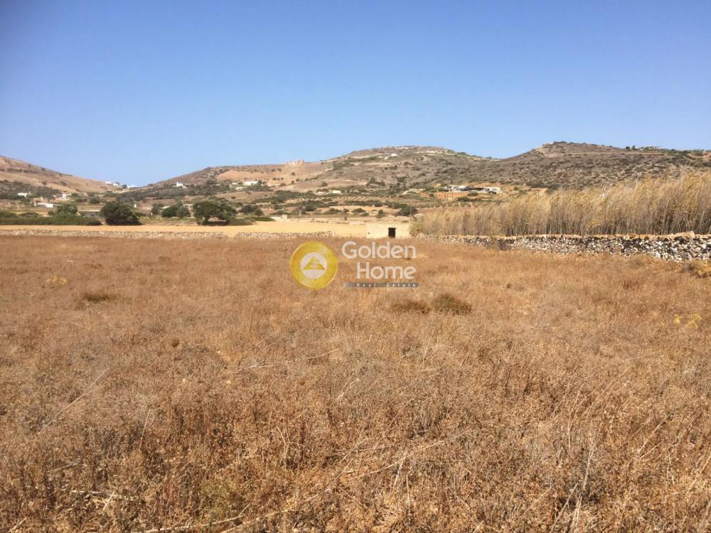Αγροτεμάχια 5.255 τ.μ. προς πώληση, Κάμπος Αντιπάρου