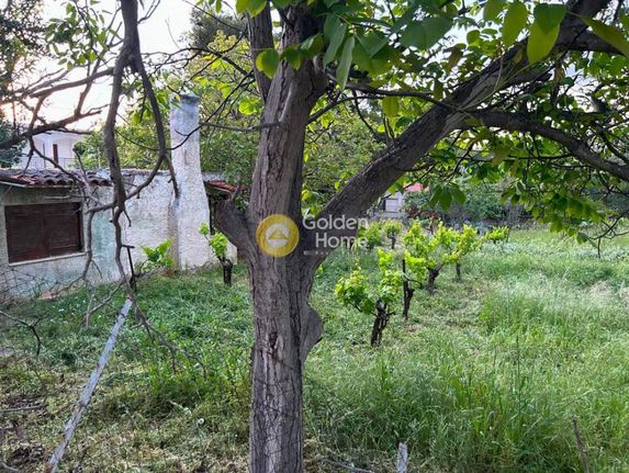 Land plot 289 sqm for sale, Rest Of Attica, Oropos