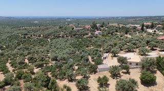 Μονοκατοικία 75 τ.μ. για πώληση, Μεσσηνία, Νέστορας-thumb-15