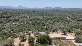 Μονοκατοικία 75 τ.μ. για πώληση, Μεσσηνία, Νέστορας-thumb-18