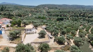 Μονοκατοικία 75 τ.μ. για πώληση, Μεσσηνία, Νέστορας-thumb-22