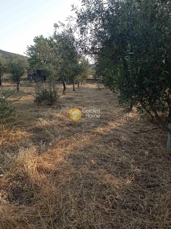 Μονοκατοικία 60 τ.μ. προς πώληση, Κέντρο Βιλίων