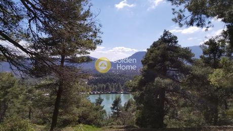 Μονοκατοικία 285τ.μ. για πώληση-Αφίδνες » Αγία τριάδα