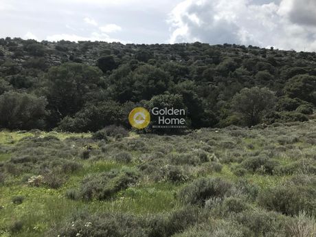 Αγροτεμάχια 9.450τ.μ. για πώληση-Κερατέα » Παλιοκαμάριζα