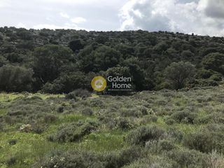 Αγροτεμάχια 9.450 τ.μ. για πώληση