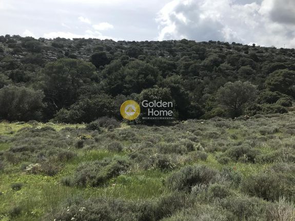 Parcel 9.450 sqm for sale, Rest Of Attica, Keratea