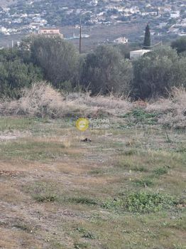 Οικόπεδο 400τ.μ. για πώληση-Σαλαμίνα » Αιάντειο
