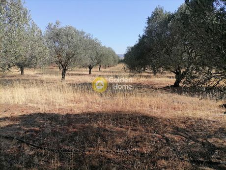 Οικόπεδο 8.500τ.μ. για πώληση-Γορτύνα » Γκαγκάλες