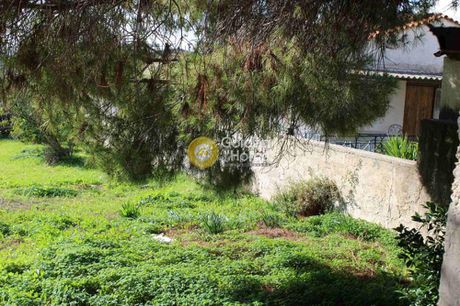 Οικόπεδο 513 τ.μ. για πώληση