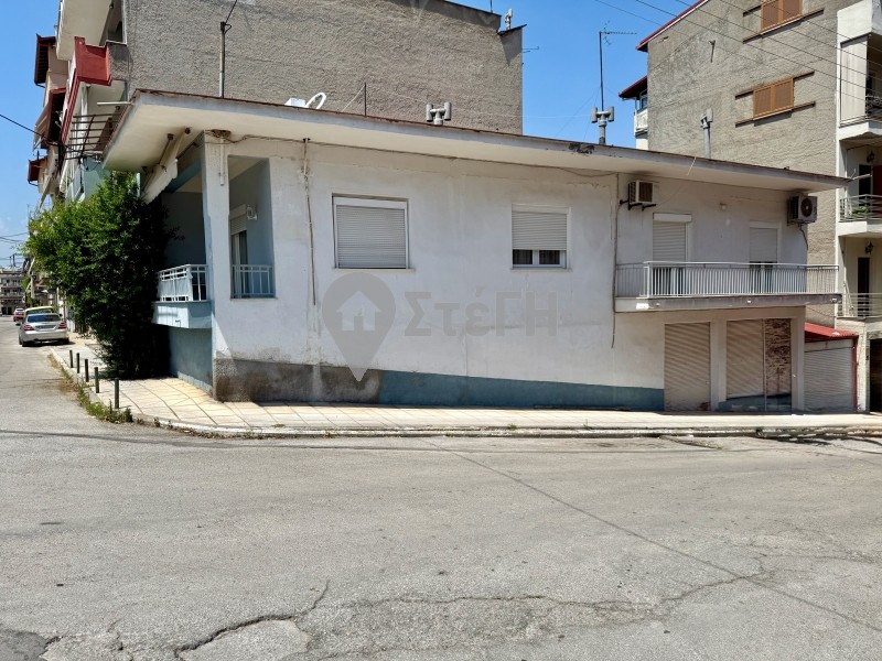 Μονοκατοικία 260 τ.μ. πρός πώληση, Ημαθία, Νάουσα