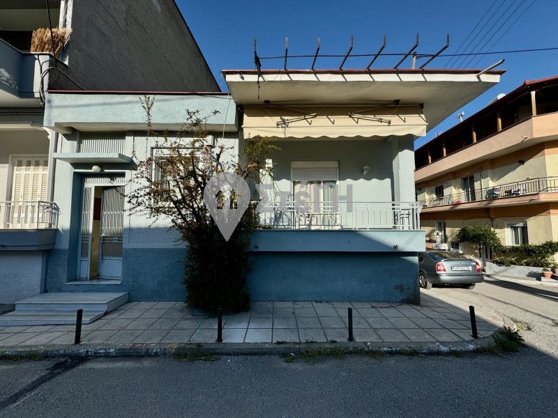 Μονοκατοικία 260 τ.μ. πρός πώληση, Ημαθία, Νάουσα