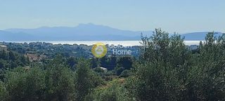 Αγροτεμάχια 40.000 τ.μ. για πώληση
