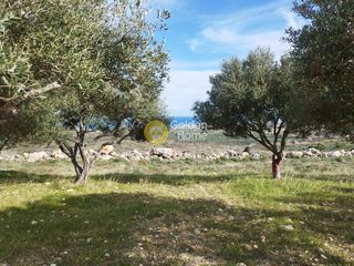 Οικόπεδο 4.025 τ.μ. για πώληση