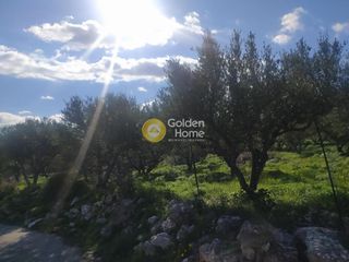 Οικόπεδο 1.132 τ.μ. για πώληση