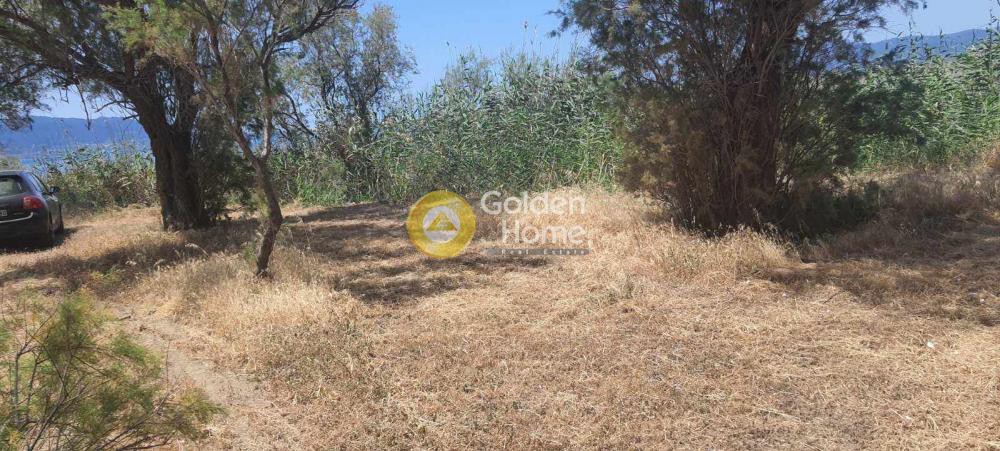 Οικόπεδο 1.228 τ.μ. πρός πώληση, Αιτωλοακαρνανία, Ναύπακτος