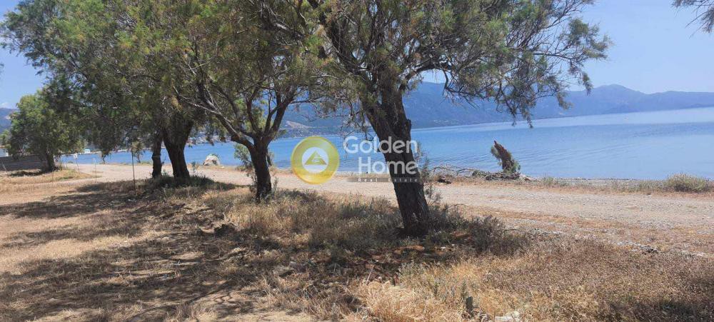 Οικόπεδο 1.228 τ.μ. πρός πώληση, Αιτωλοακαρνανία, Ναύπακτος