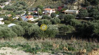 Οικόπεδο 6.250 τ.μ. για πώληση