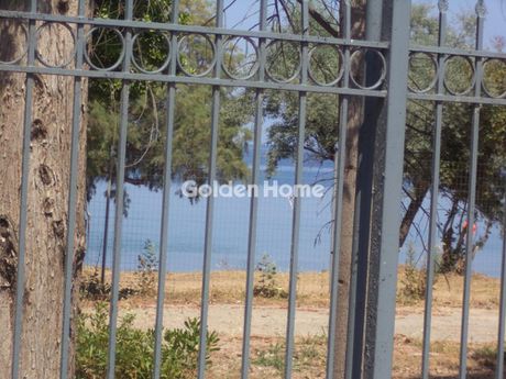 Αγροτεμάχια 2.480τ.μ. για πώληση-Αίγιο » Βαλιμίτικα