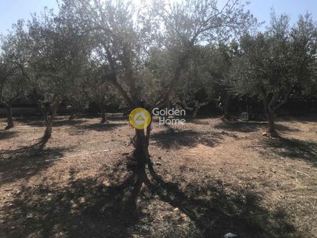 Οικόπεδο 573 τ.μ. για πώληση