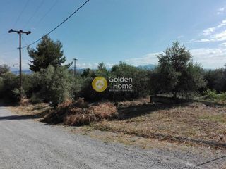 Αγροτεμάχια 520 τ.μ. για πώληση